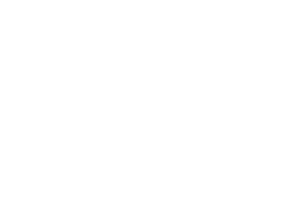 Progettazione Logo tecnologico Firenze