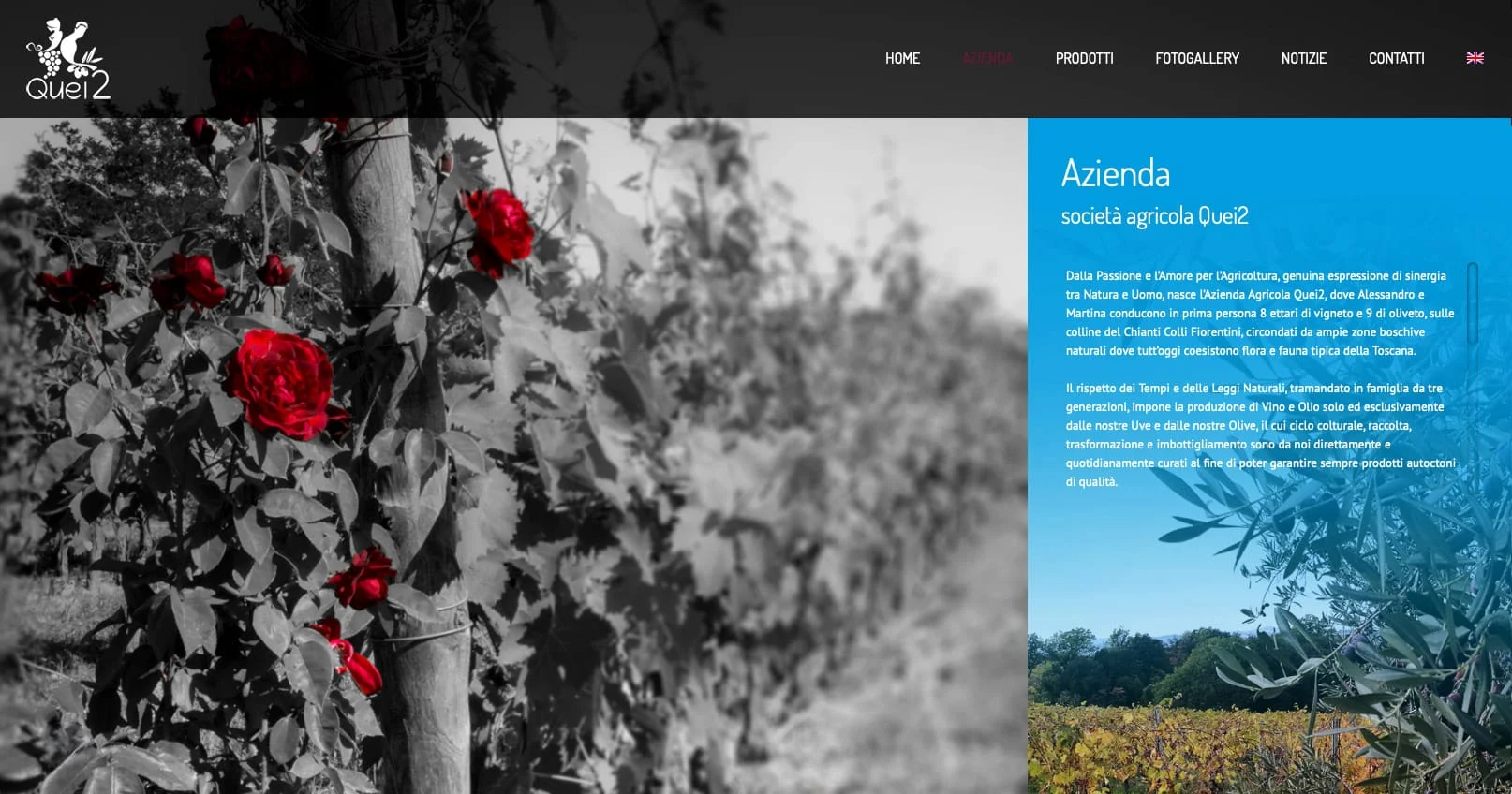 Quei2: Branding e Web Design