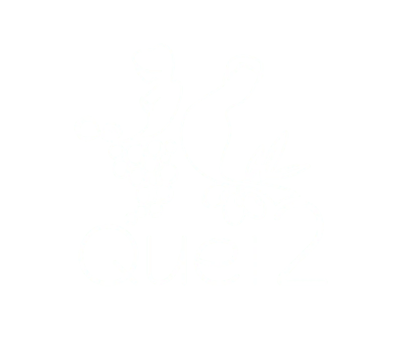 Quei2: Branding e Web Design