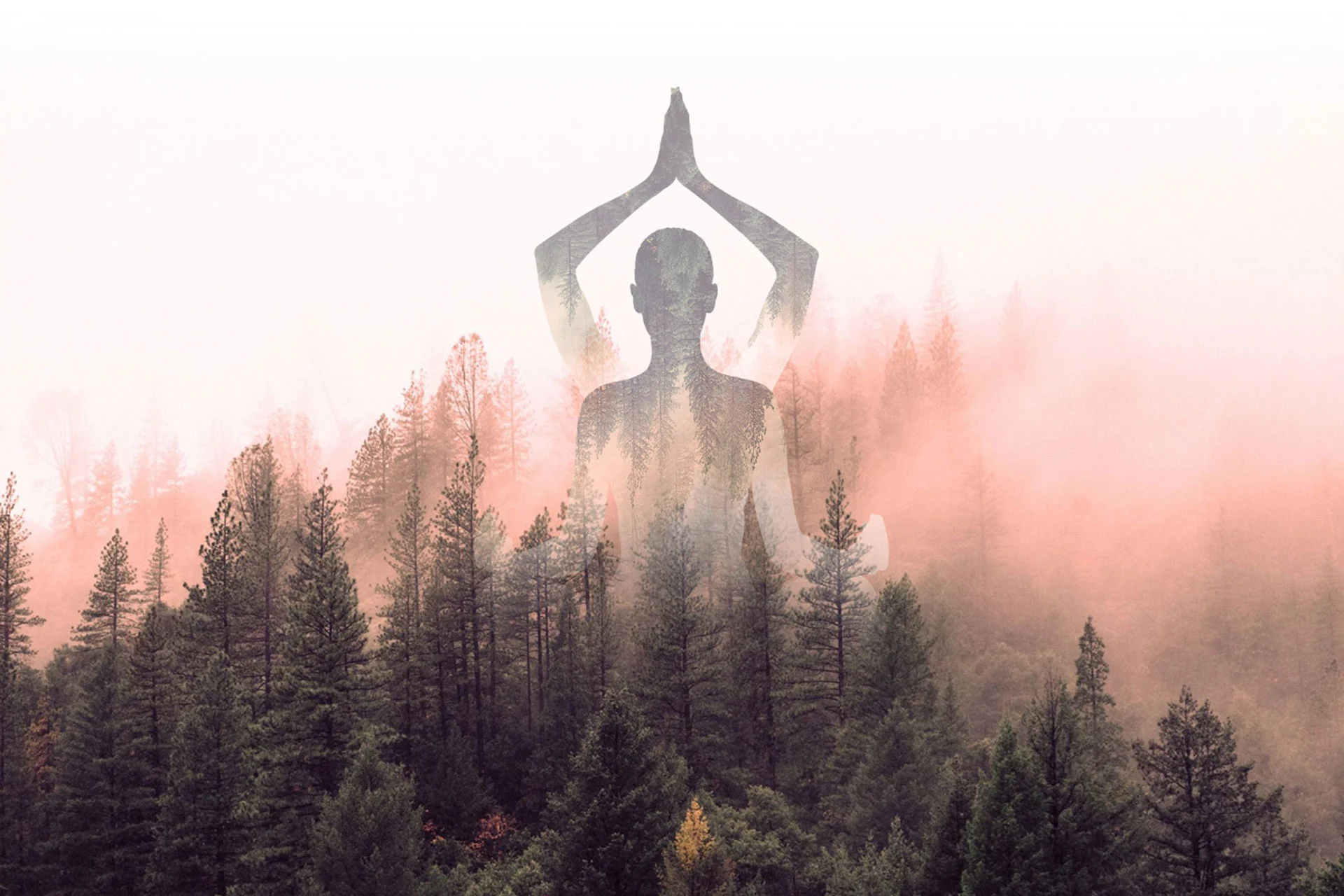 realizzazione siti web yoga firenze